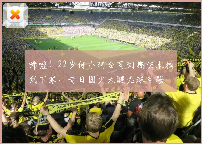 唏嘘！22岁何小珂合同到期仍未找到下家，昔日国少大腿无球可踢